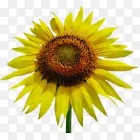 Ë®²Ê» ÑÕÁÏ ÊªÄ«-¿ÕÈôÍø Ë®²Ê» ÑÕÁÏ ÊªÄ«-¿ÕÈôÍø