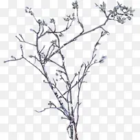 ��֦ �� ϸ֦-������