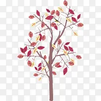 �� ֲ�� ��֦-������