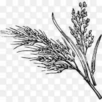 ֲ�� ����� ��-������