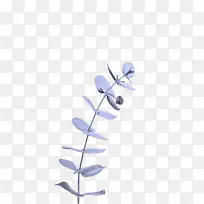 ��ɫ ��֦ Ҷ��-������