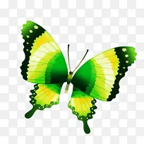 �ɶ�ͺ��� ���� ����-������