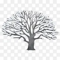 树木 树枝 叶子-空若网 树木 树枝 叶子-空若网