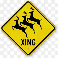 ˮ�ʻ� ���� ʪīˮ-������