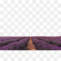 水彩 油漆 湿墨水-空若网 水彩 油漆 湿墨水-空若网