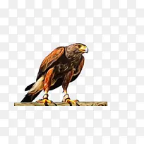 ˮ�ʻ� ���� ʪī-������