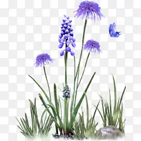 �� ֲ�� �ݿ�-������