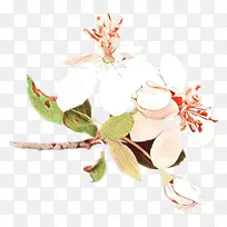 ��ͨ �� ֲ��-������