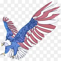 鸟 鹰 翅膀-空若网 鸟 鹰 翅膀-空若网