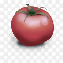 天然食品 番茄 水果-空若网 天然食品 番茄 水果-空若网