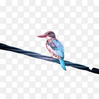 ��ɫ ���� �Ʒ�-������