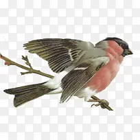 �� � ���-������