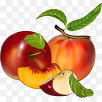 天然食品 水果 植物-空若网 天然食品 水果 植物-空若网