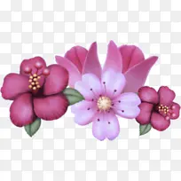 花瓣 花朵 粉色-空若网 花瓣 花朵 粉色-空若网