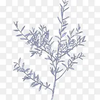 树枝 嫩枝 树木-空若网 树枝 嫩枝 树木-空若网