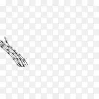 黑白单色支链氨基酸-空若网 黑白单色支链氨基酸-空若网