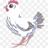 �� ��� �-������