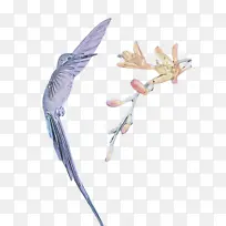 翅膀 羽毛-空若网 翅膀 羽毛-空若网