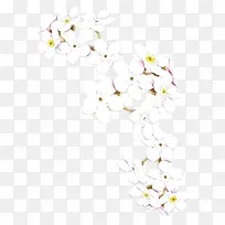 卡通 花 白色-空若网 卡通 花 白色-空若网