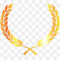 ��ͨ ��ɫ ��ɫ-������