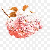 ��ͨ ��ɫ �л�-������