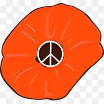 ��ͨ ��ɫ ��ɫ-������