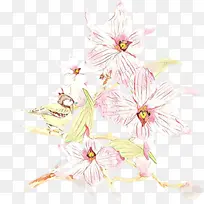 卡通 花朵 粉色-空若网 卡通 花朵 粉色-空若网