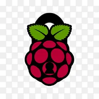 粉色 水果 植物-空若网 粉色 水果 植物-空若网