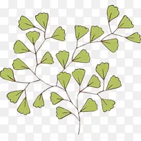 叶子 绿色 树枝-空若网 叶子 绿色 树枝-空若网