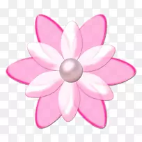 ���ܻ滭����-������