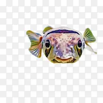 �� ��-������