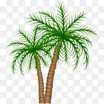 采购产品树 植物 棕榈树-空若网 采购产品树 植物 棕榈树-空若网