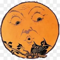 橙色 头部 黄色-空若网 橙色 头部 黄色-空若网