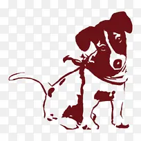 狗 鼻子 美国比特斗牛梗-空若网 狗 鼻子 美国比特斗牛梗-空若网