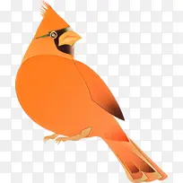 ��ͨ �� ��ɫ-������