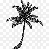 �� Ҷ �����-������