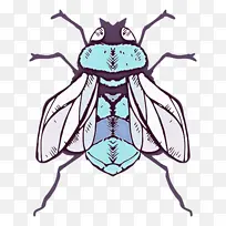 昆虫 害虫 苍蝇-空若网 昆虫 害虫 苍蝇-空若网