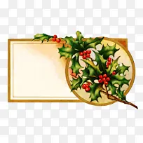 冬青 植物 蔬菜-空若网 冬青 植物 蔬菜-空若网