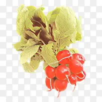 卡通 蔬菜 食品-空若网 卡通 蔬菜 食品-空若网