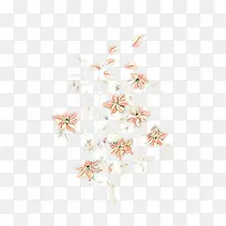 ��ͨ ��ɫ ��ɫ-������