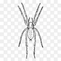 ���� ���� ��������-������