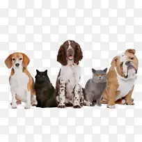 ˮ�ʻ� ���� ʪīˮ-������