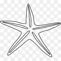 ���� ���� ��������-������