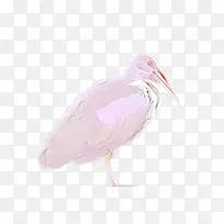 橙色 文字 生日蜡烛-空若网 橙色 文字 生日蜡烛-空若网