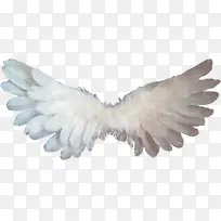 ��ɫ ��ë ���-������