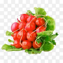 ��ͨ ��ȻʳƷ ʳƷ-������