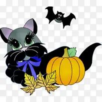 Ë®²Ê» ÓÍÆá ʪīˮ-¿ÕÈôÍø Ë®²Ê» ÓÍÆá ʪīˮ-¿ÕÈôÍø