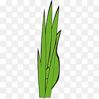 ��ɫ Ҷ�� ��-������