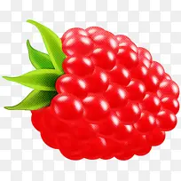 浆果 水果 红色-空若网 浆果 水果 红色-空若网