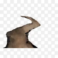 树 毛皮 动画-空若网 树 毛皮 动画-空若网